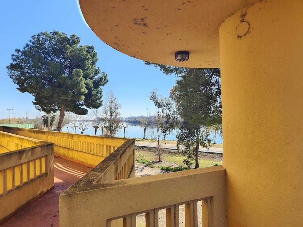 Superbe Appartement Terrasse Entierement Renove Au Bord De L'Ebre Deltebre Extérieur photo