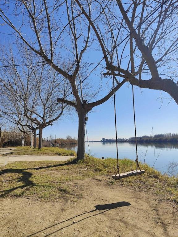 Superbe Appartement Terrasse Entierement Renove Au Bord De L'Ebre Deltebre Extérieur photo