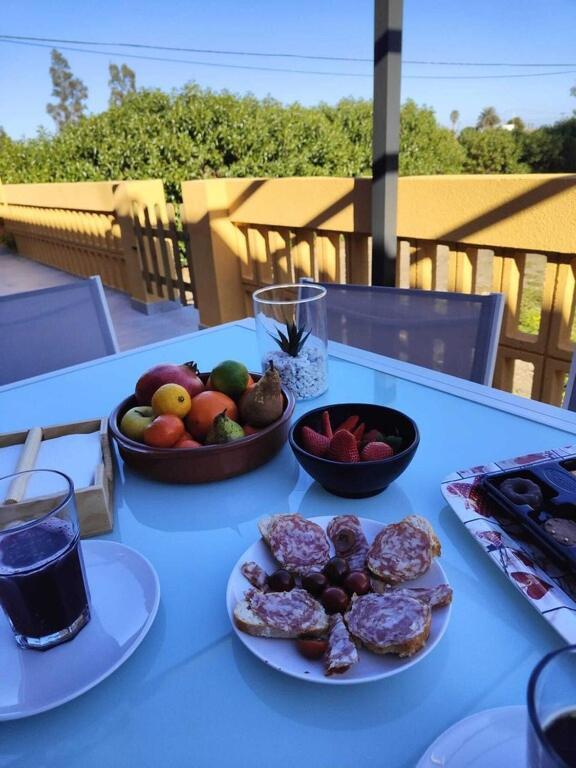 Superbe Appartement Terrasse Entierement Renove Au Bord De L'Ebre Deltebre Extérieur photo